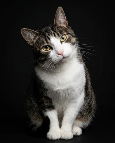 Dushka studio portrait 2