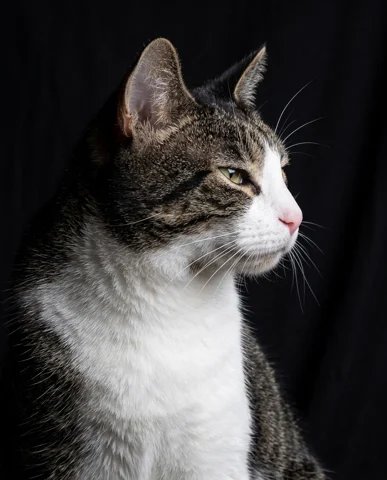 Dushka studio portrait 3