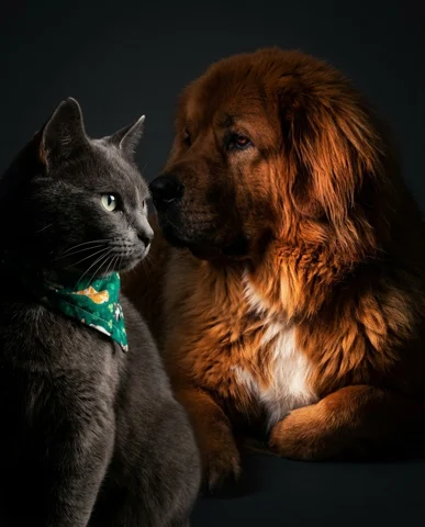 Nala & Suess studio portrait 4