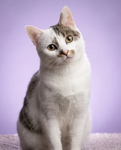 Peggy studio portrait 1